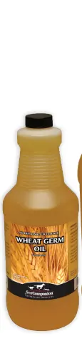 First Companion® Wheat Germ Oil Blend 32 Oz 1/Pkg 1