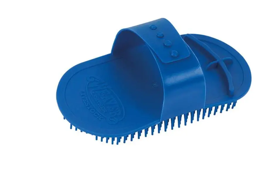 Massage Brush - Blue 1