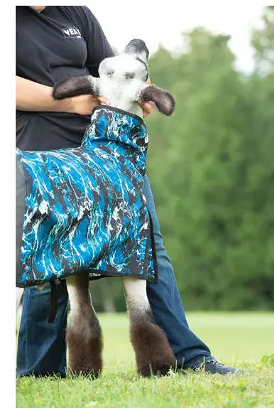 Nylon Sheep Blanket, Mesh Butt - Large- Tide Wave 1