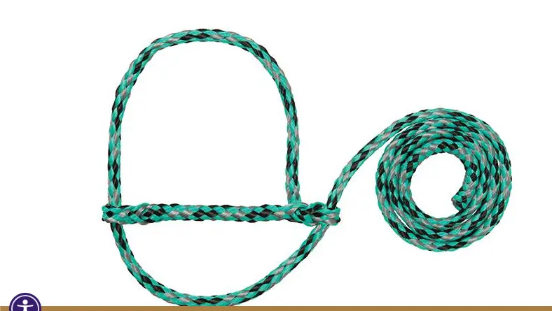 Poly Rope Halter - Sheep / Goat - Mint/Black/Silver 1