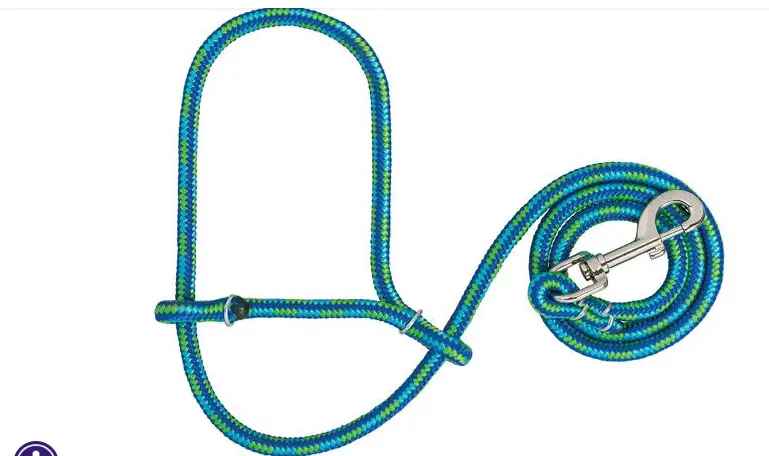 3/8'' Poly Rope Goat/Sheep Halter With Snap - Blue/Green 1