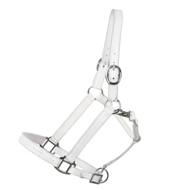 White Average Horse Size Leather Halter 1
