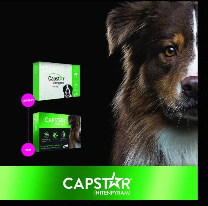 Capstar Flea Tabs-Dogs (26-125#) Box 1