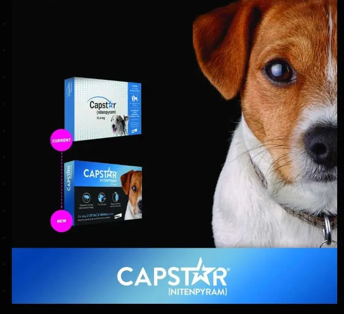 Capstar Flea Tabs-Dogs (2-25#) Box 1