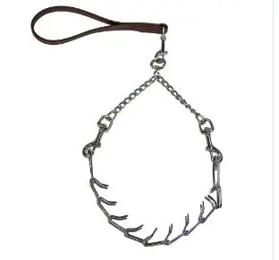 Full Blood Goat Prong Collar With Biothane Lead - Buck 1