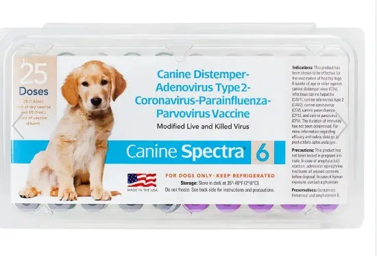 Canine Spectra 6 - One Dose, With Syringe 1