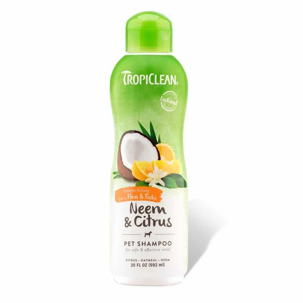 Neem & Citrus Shampoo 20Oz 1