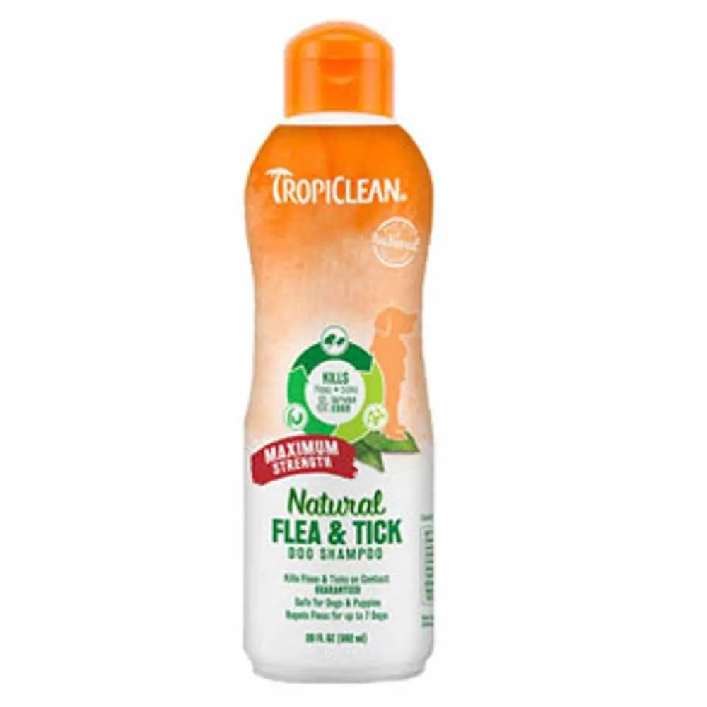 Max Strength F&T Shampoo 20Oz 1