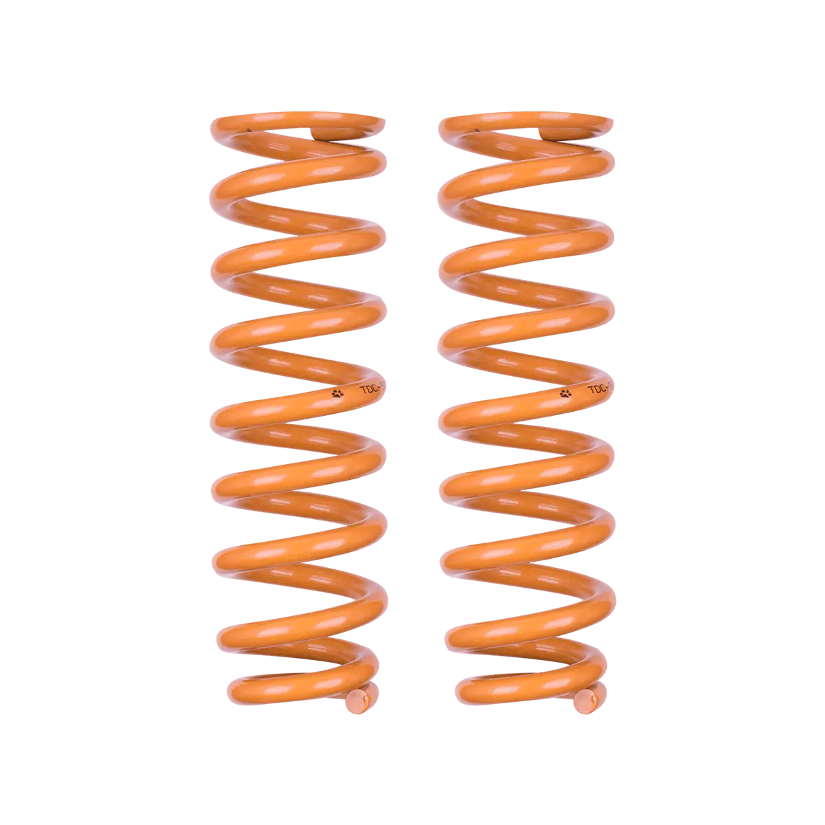 Ford Ranger (2018+) Px Iii 40Mm Suspension Lift Kit - Tough Dog Foam Cell 6