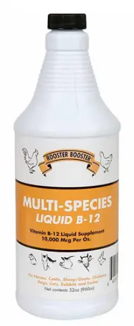 Rooster Booster: B-12 Multi Species 32 Oz. 1