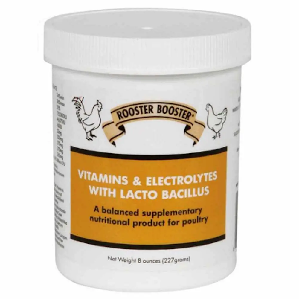 Rooster Booster: Vitamins & Electrolytes W/ Lacto Bacillus - 8 Oz 1