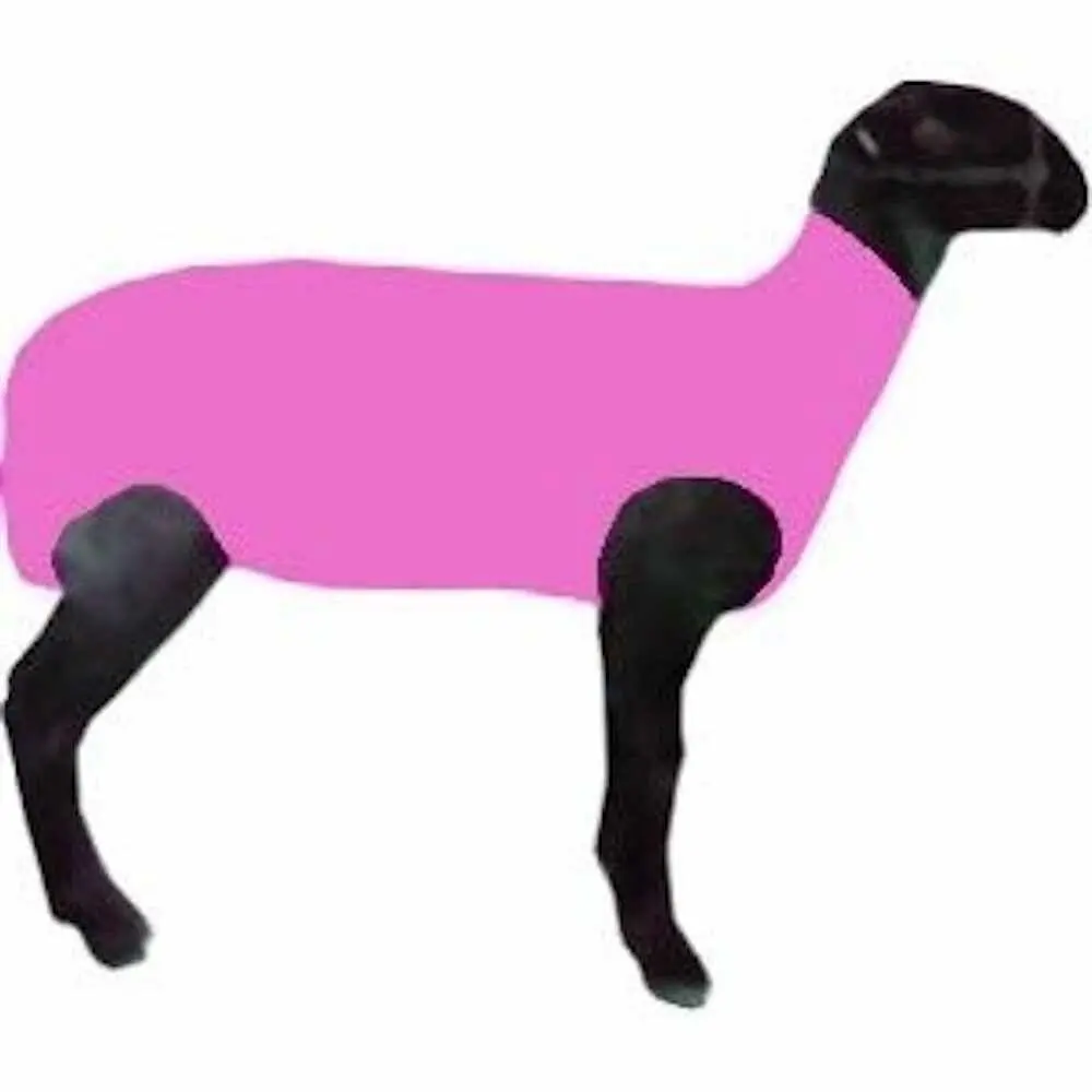Pink- Sheep Sox S/M 1