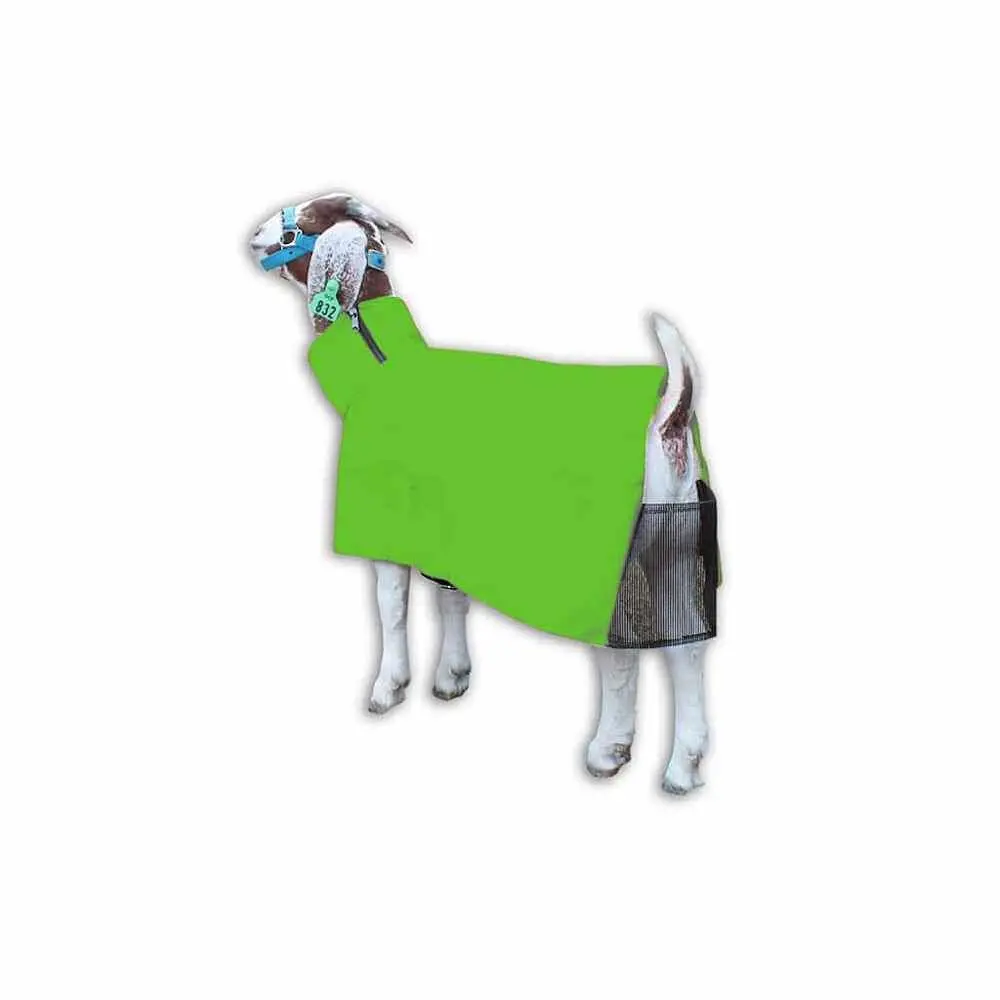 Goat Blanket Neon Green Sm 1