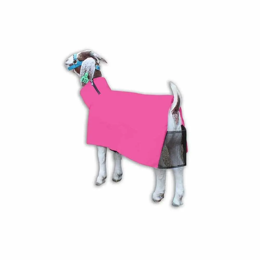 Goat Blanket Neon Pink Xl 1