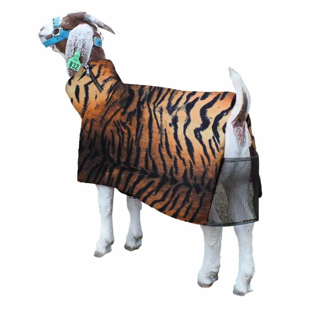 Goat Blanket Tiger Xlg 1