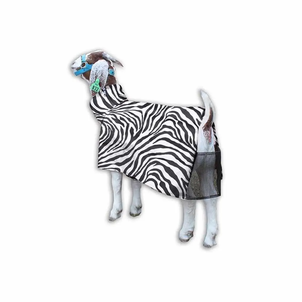 Sheep Blanket Zebra Med 1