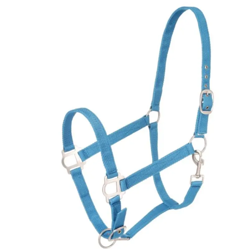 Turquoise - Tough-1 Nylon Halter With Satin Hardware 1