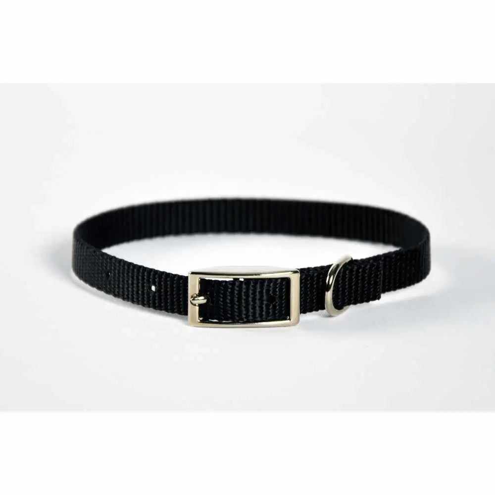 Dog Collar Skinny - 14" Hunter Green 1