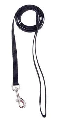 3/4" Single Layer Nylon Leash Orange  4' 1