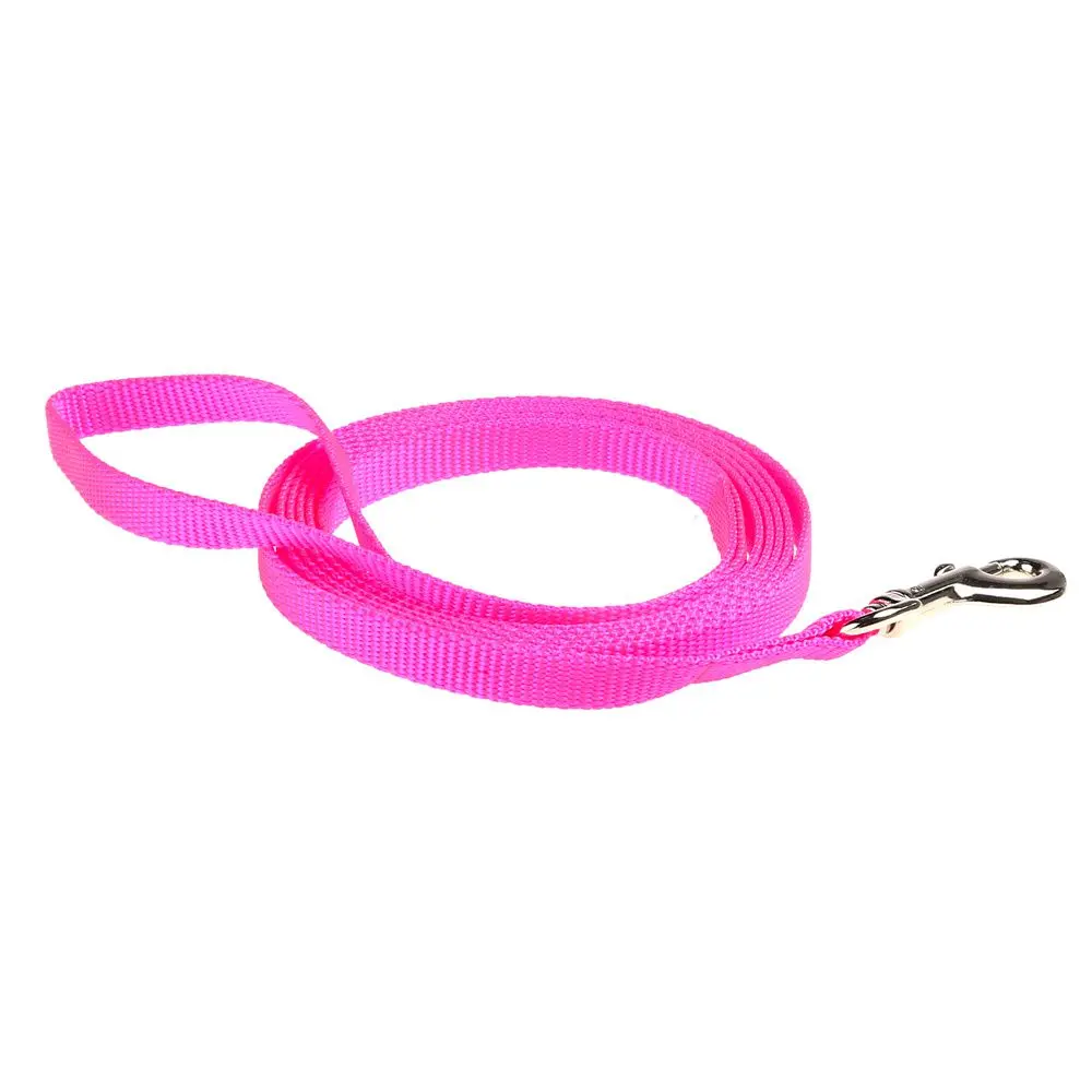 1" Double Layer Nylon Leash 4' Hot Pink 1