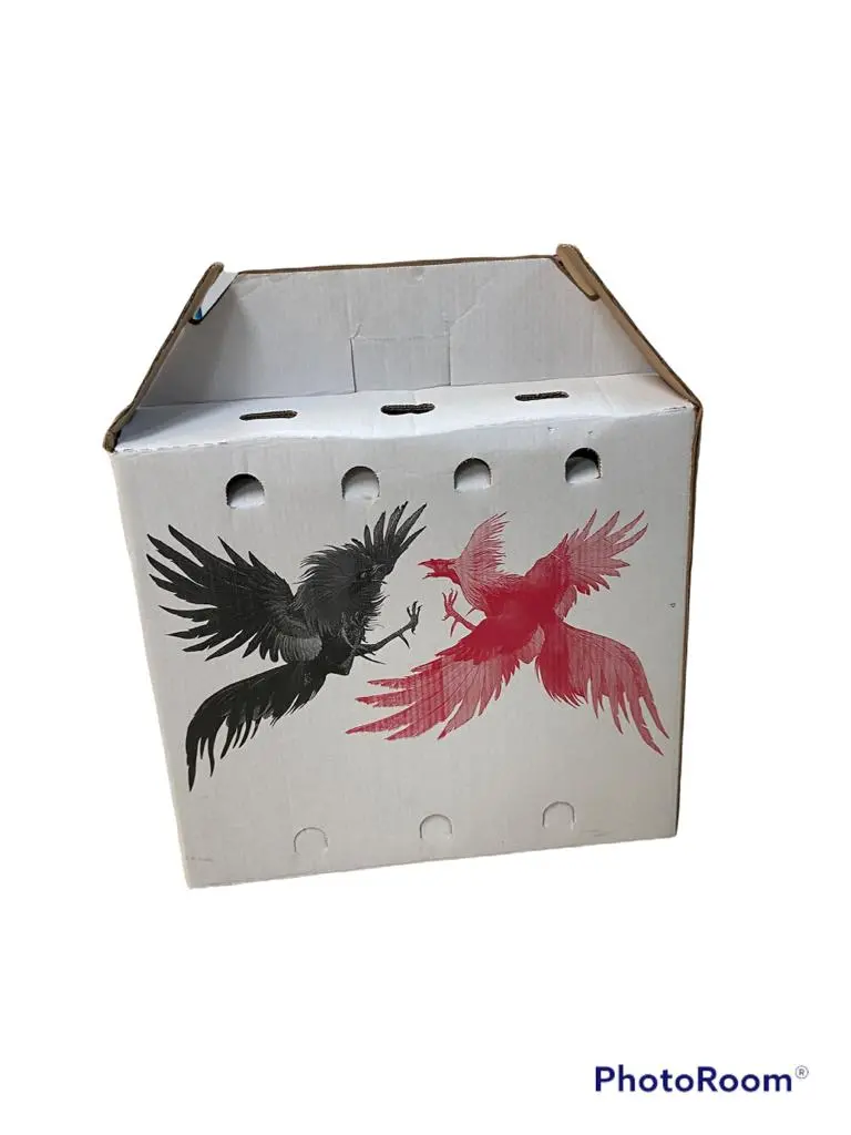 Shipping Box For Roosters 1