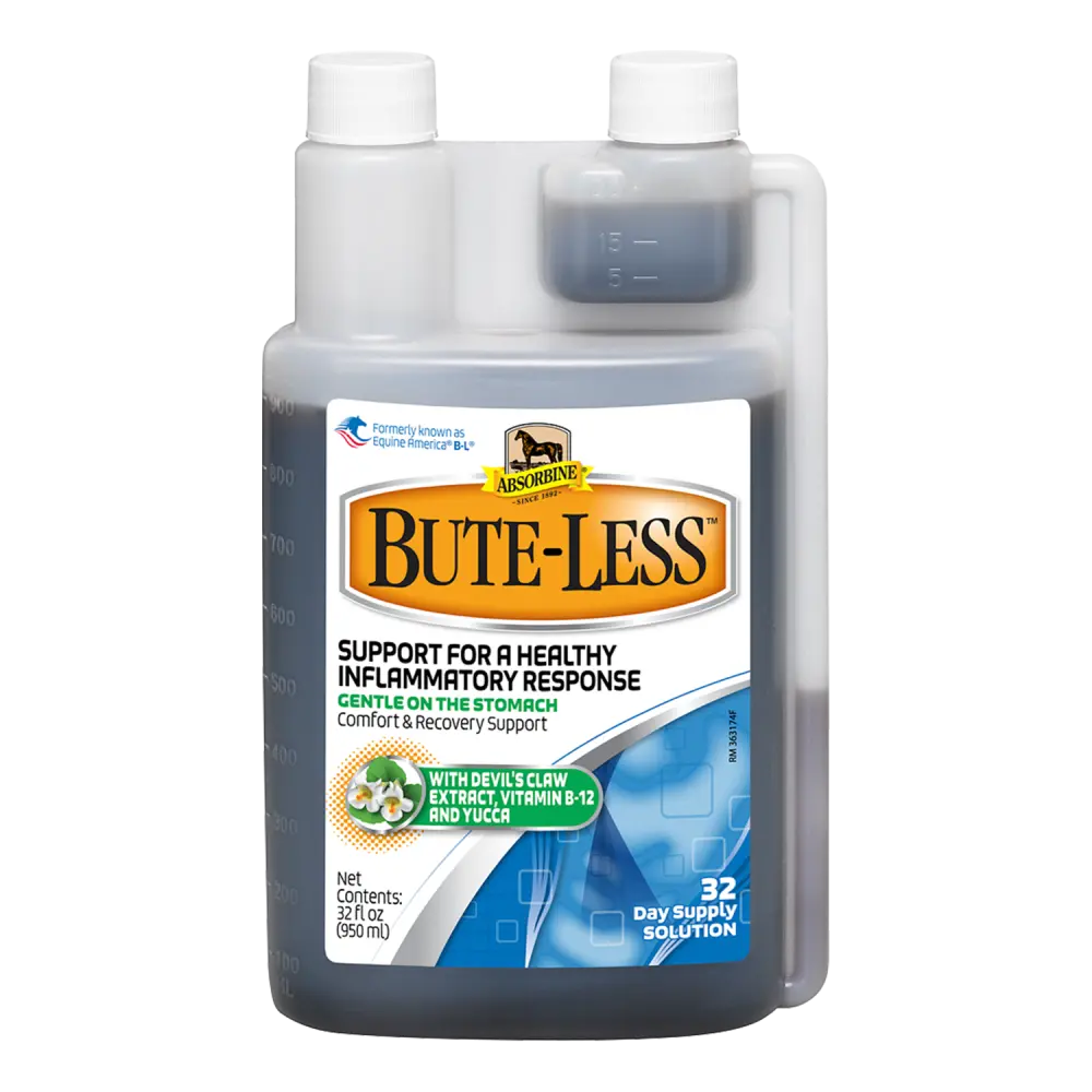 Bute-Less Solution 32Oz 1