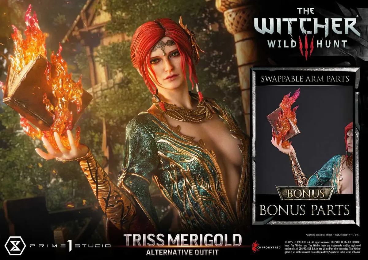 The Witcher 3 Wild Hunt: Triss Merigold Alternative Outfit Bonus Version 1