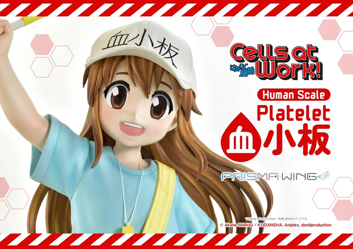 Cells At Work: Platelet 1