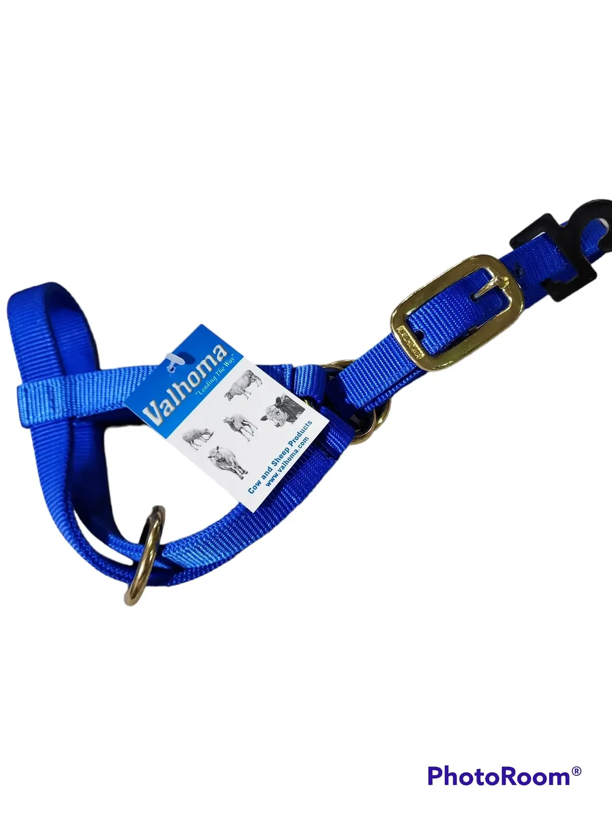 Valhoma: Halter - Goat Billy - Blue 1