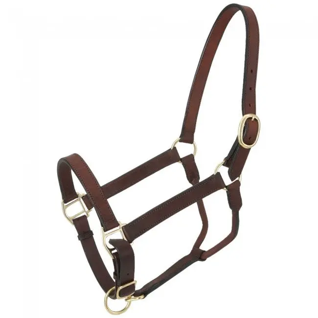 Royal King Leather Stable Halter 1