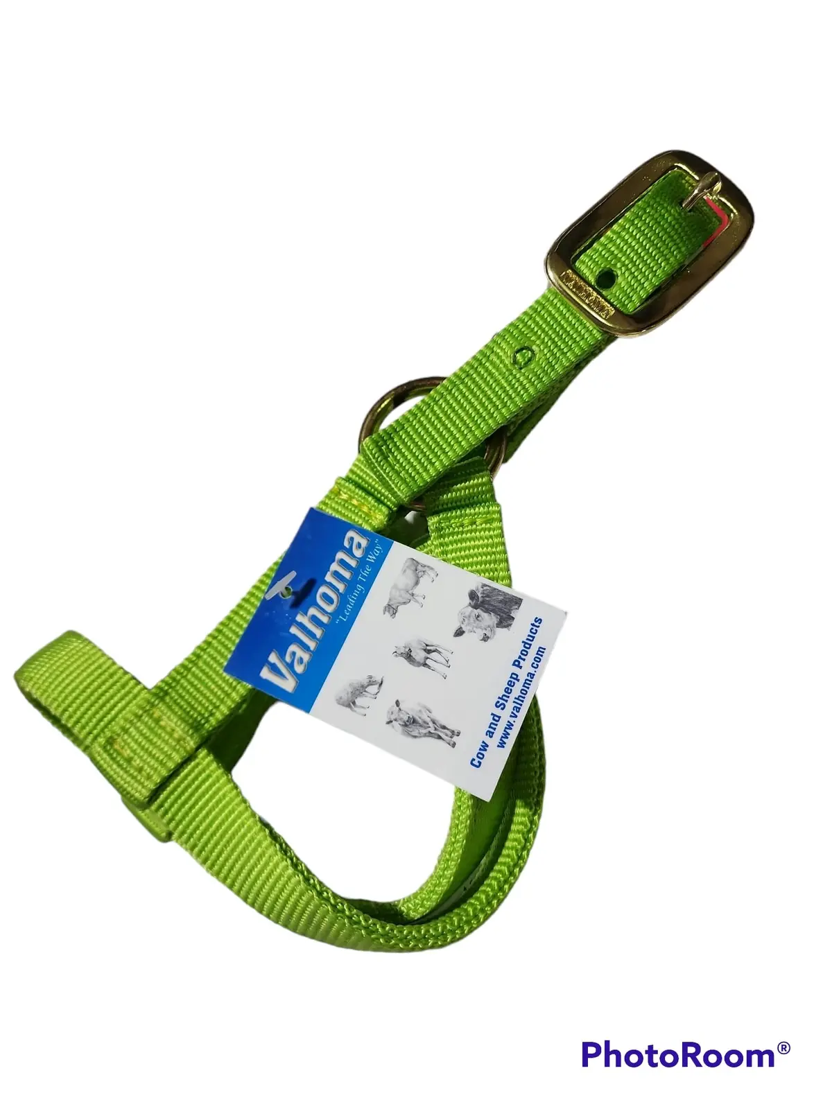 Valhoma: Halter - Goat Kid - Lime Green 1