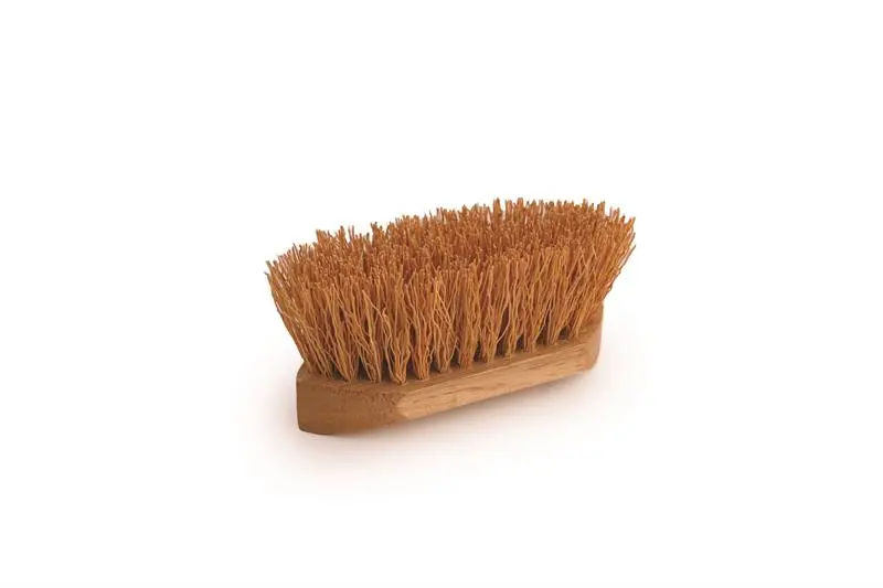 Brush, Pinto Rice Root 1