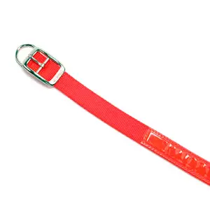 D-End Reflexite Hunting Collar 1" X 22" 1