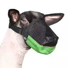 Sheep Muzzle-Green 1