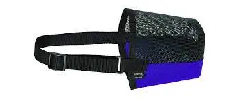 Sheep Muzzle-Blue 1
