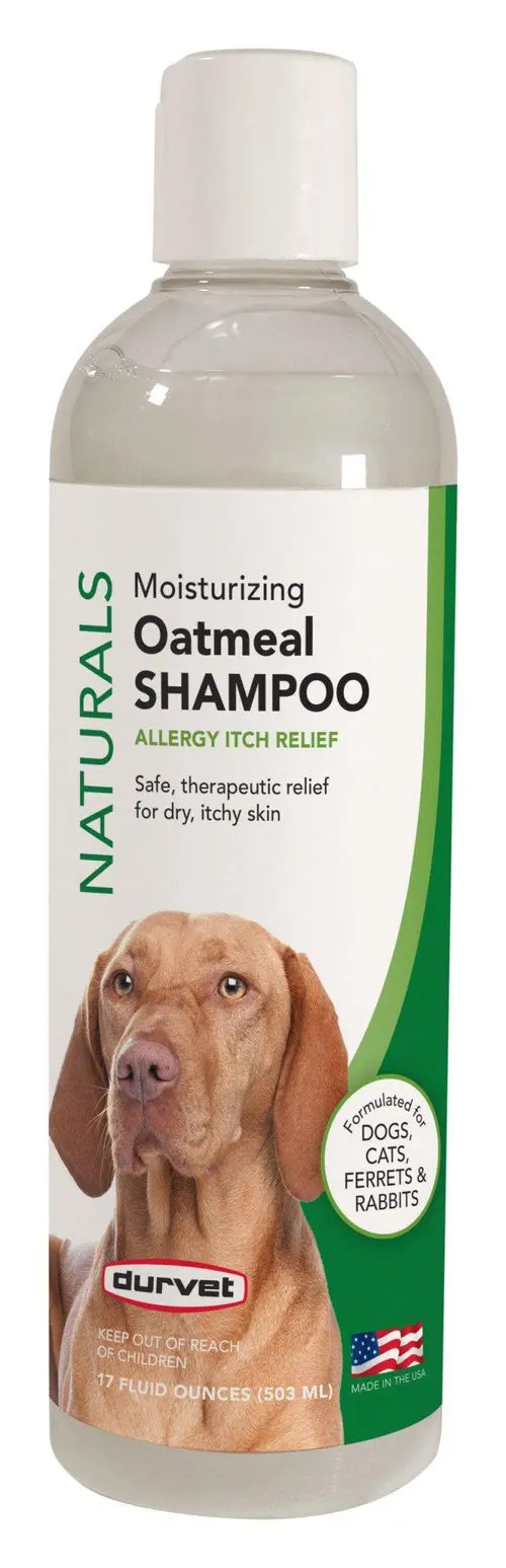Moisturizing Oatmeal Shampoo - Allergy Itch Relief Shampoo 1