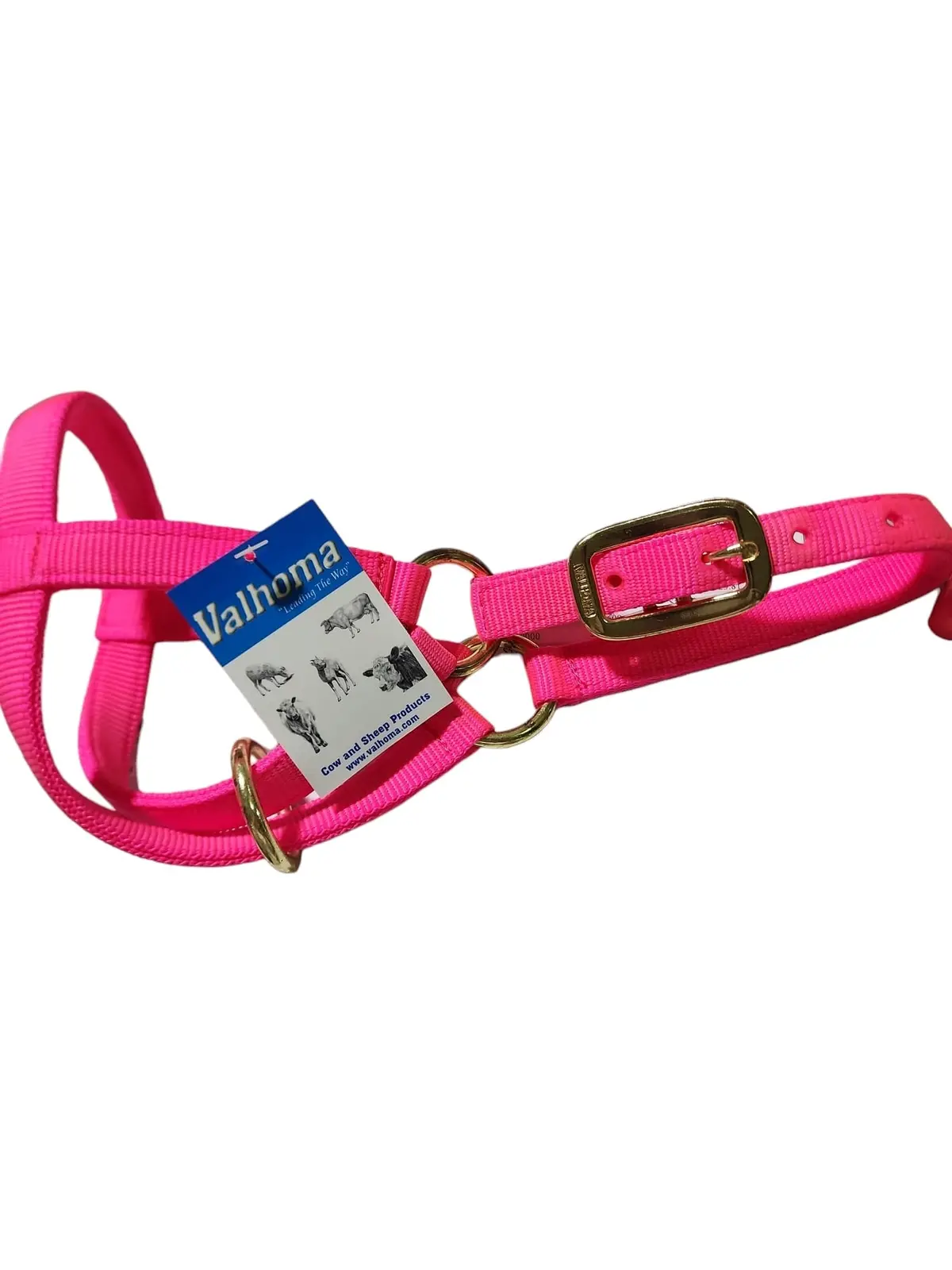 Valhoma: Halter - Goat Billy - Hot Pink 1