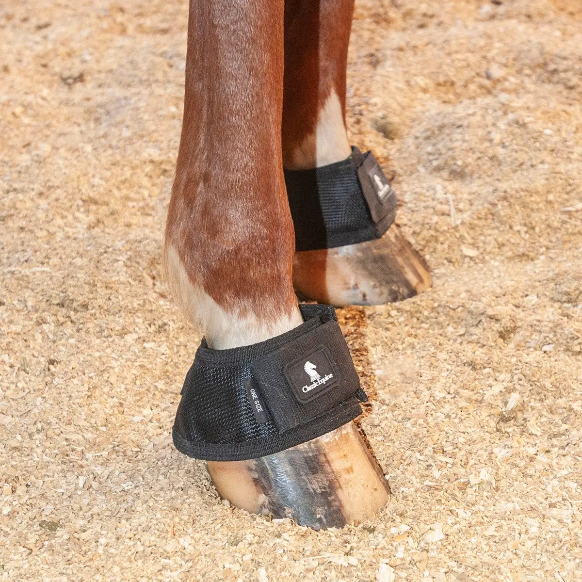 Magnxt Bell Boot 1