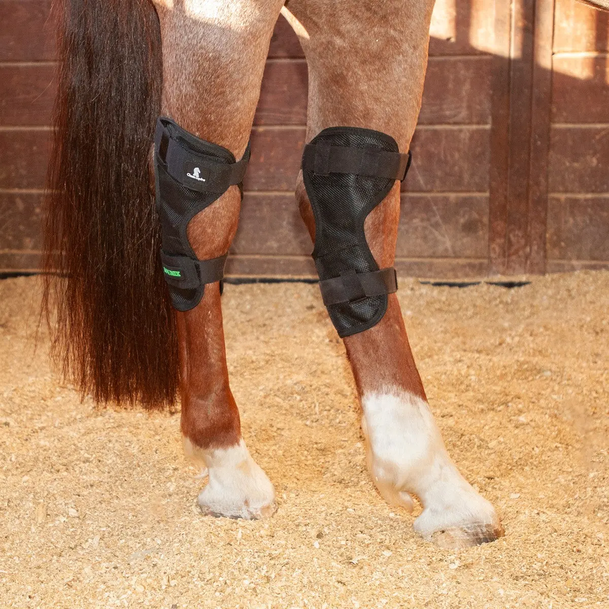 Magnxt Hock Wrap 1