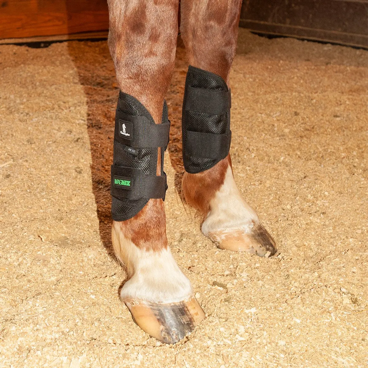 Magnxt Tendon Wrap 1