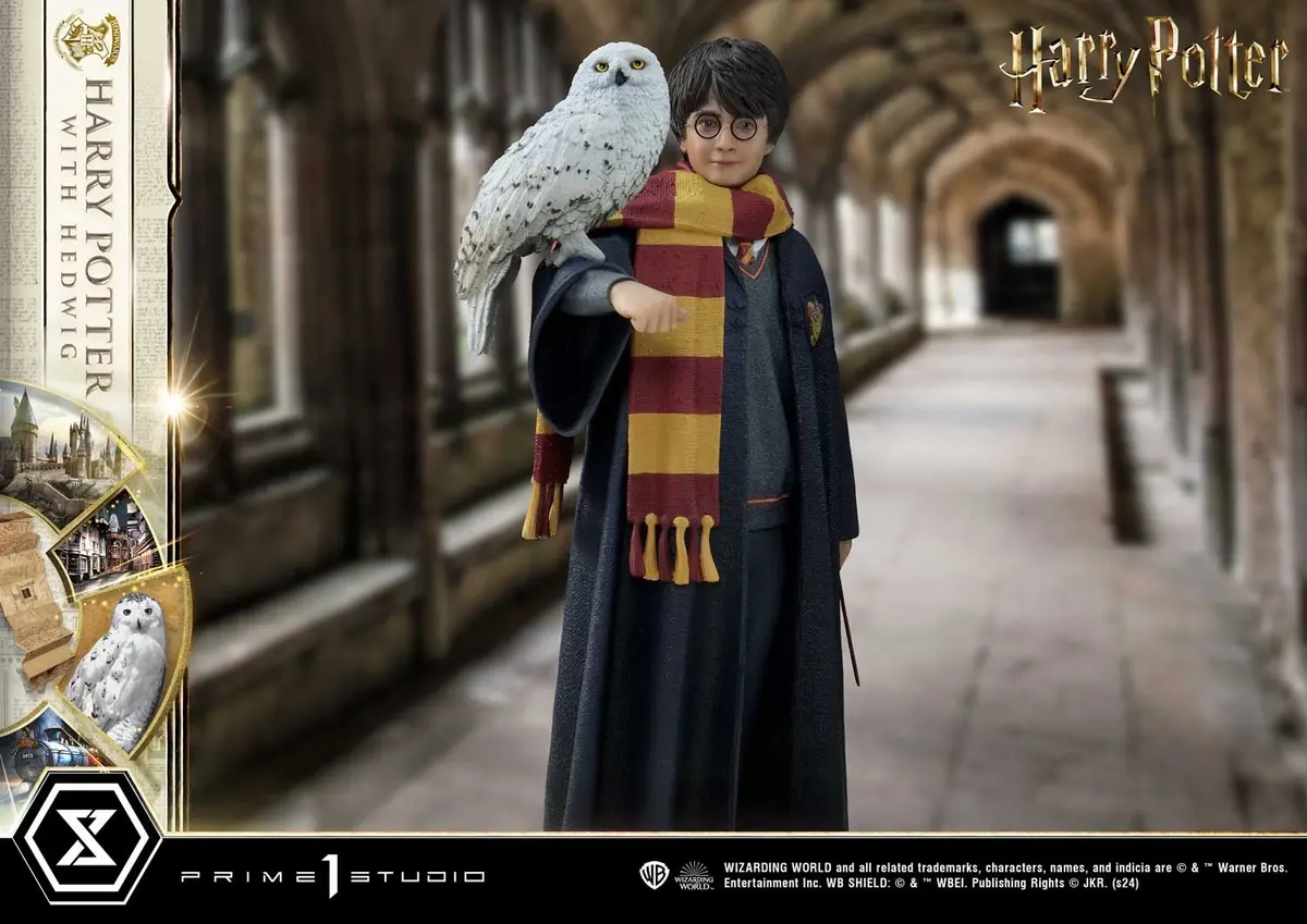 Harry Potter: Harry Potter With Hedwig 1