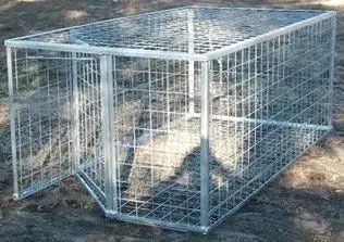 4' X 8' Basic Hog Trap 1