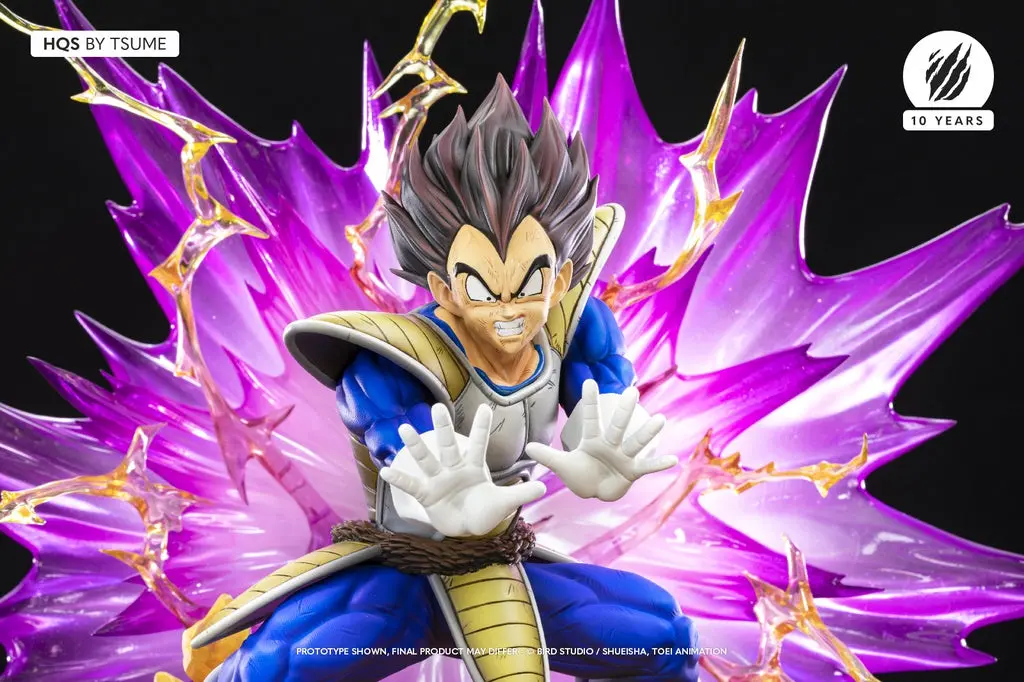 Dragon Ball Z: Vegeta Galick Gun Hqs 1