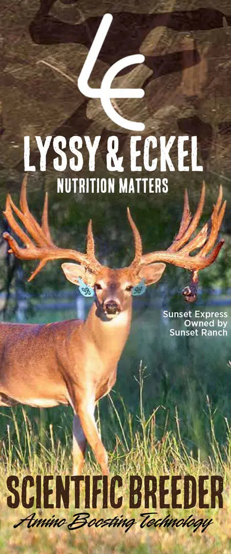 17% Deer Feed Wheeler 17-17 Lyssy & Eckels 1
