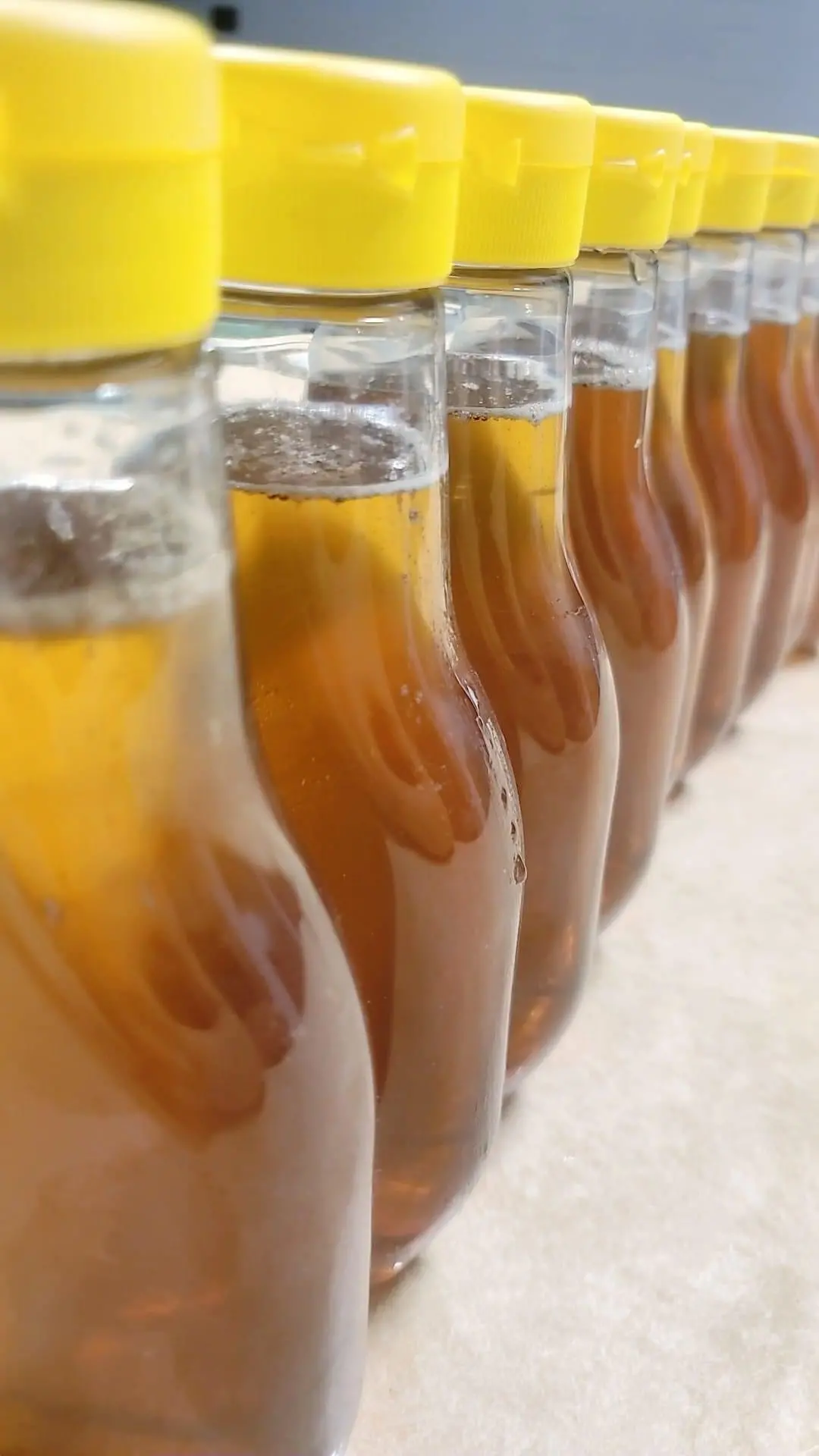 Honey Bee Squeeze Bottles 350G - With Yellow Flip Top 1