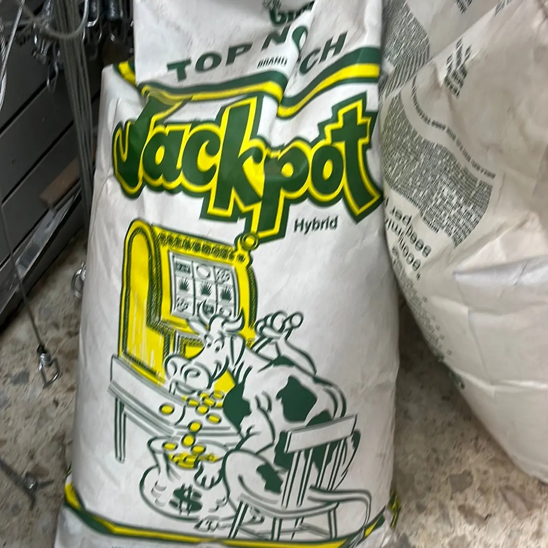 Sorghum Sudangrass, Jackpot - 50 Lb 1