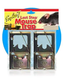 Eagles-7 Last Step Mouse Trap 1