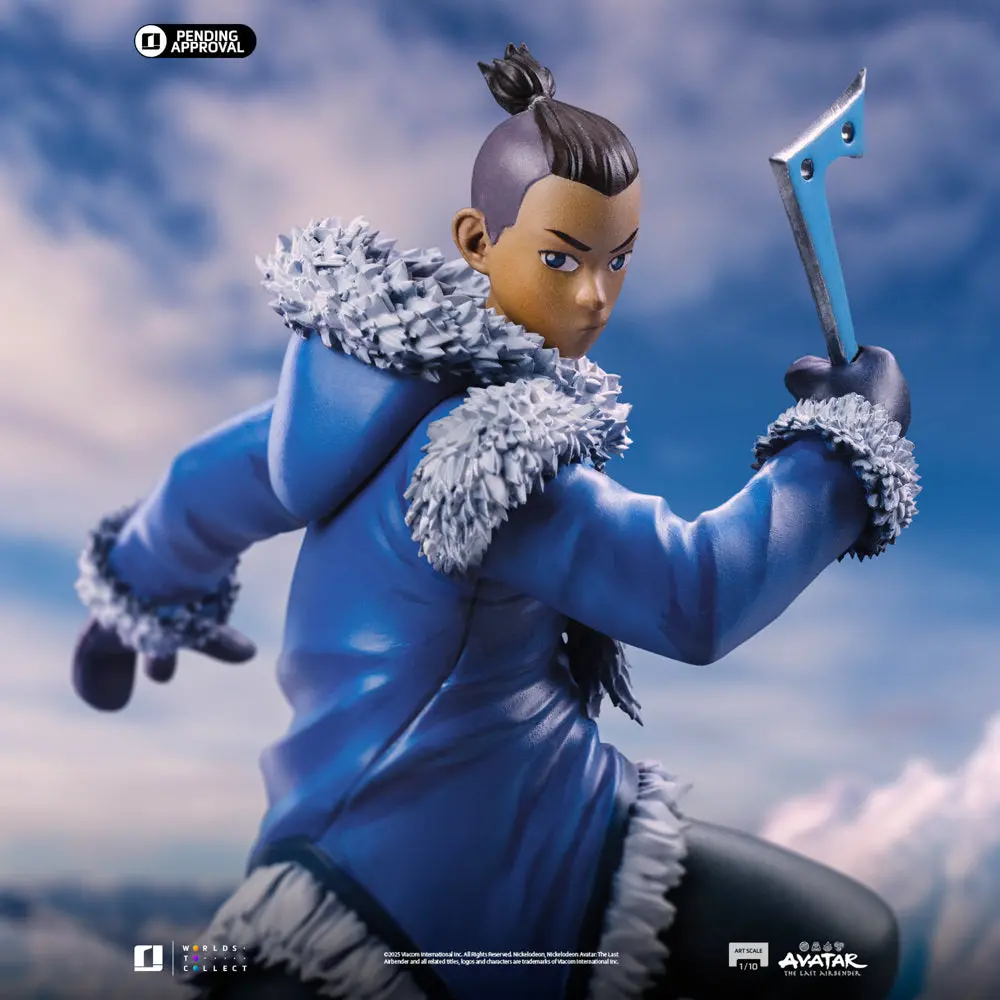 Avatar The Last Airbender: Sokka 1