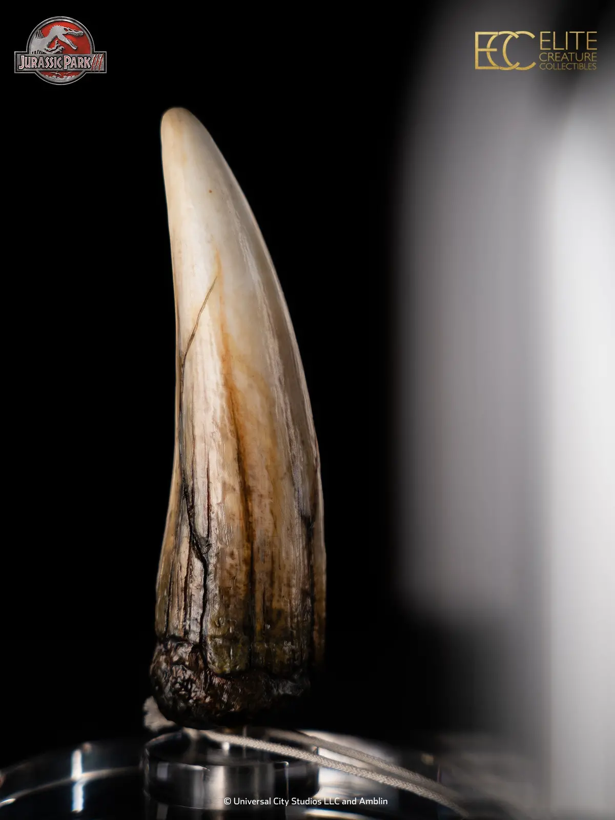 Jurassic Park Iii (2001): Spinosaurus Tooth 1