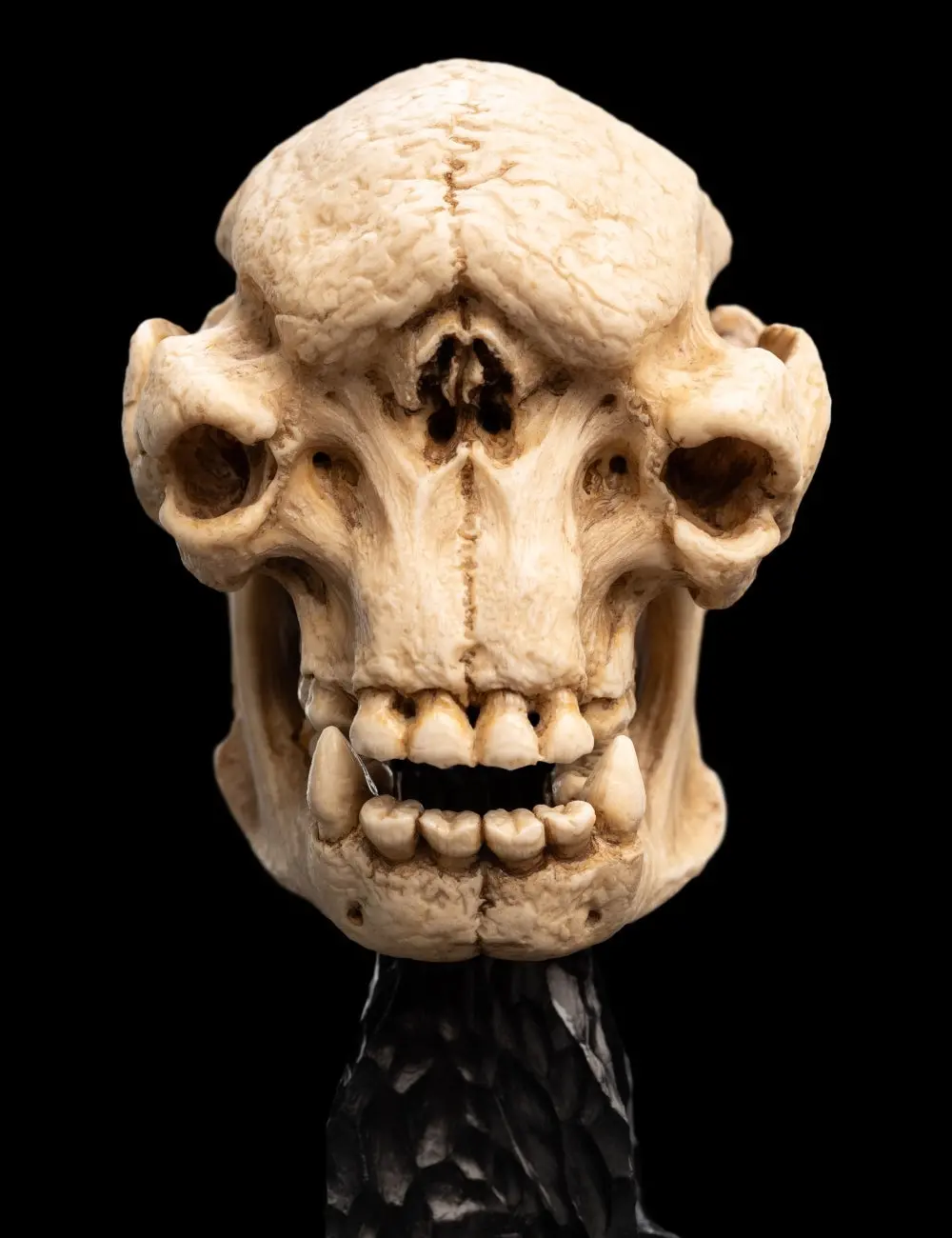 Lord Of The Rings: Cave Troll Miniature Skull (Pre-Order) 1